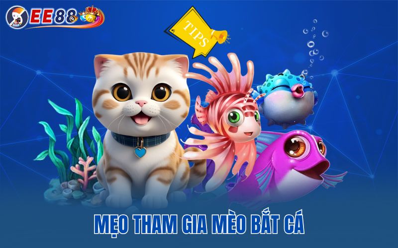 Mẹo tham gia mèo bắt cá