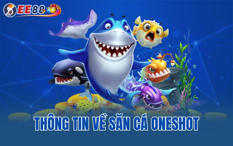 Thông tin về săn cá oneshot